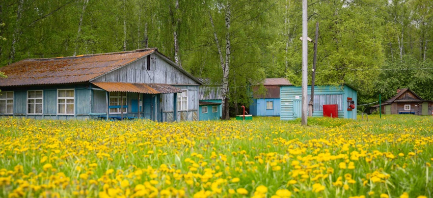Наше «базовое» лето